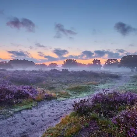 Peaceful With Free Parking And Bikes シャレー プッテン