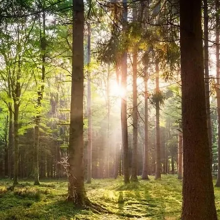 Peaceful With Free Parking And Bikes * Putten