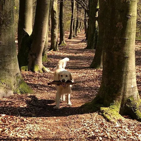 Peaceful With Free Parking And Bikes Putten