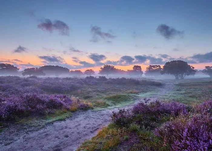 Peaceful With Free Parking And Bikes Chalet Putten