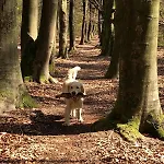 Peaceful With Free Parking And Bikes Putten
