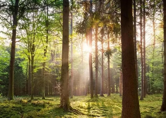 Peaceful With Free Parking And Bikes * Putten